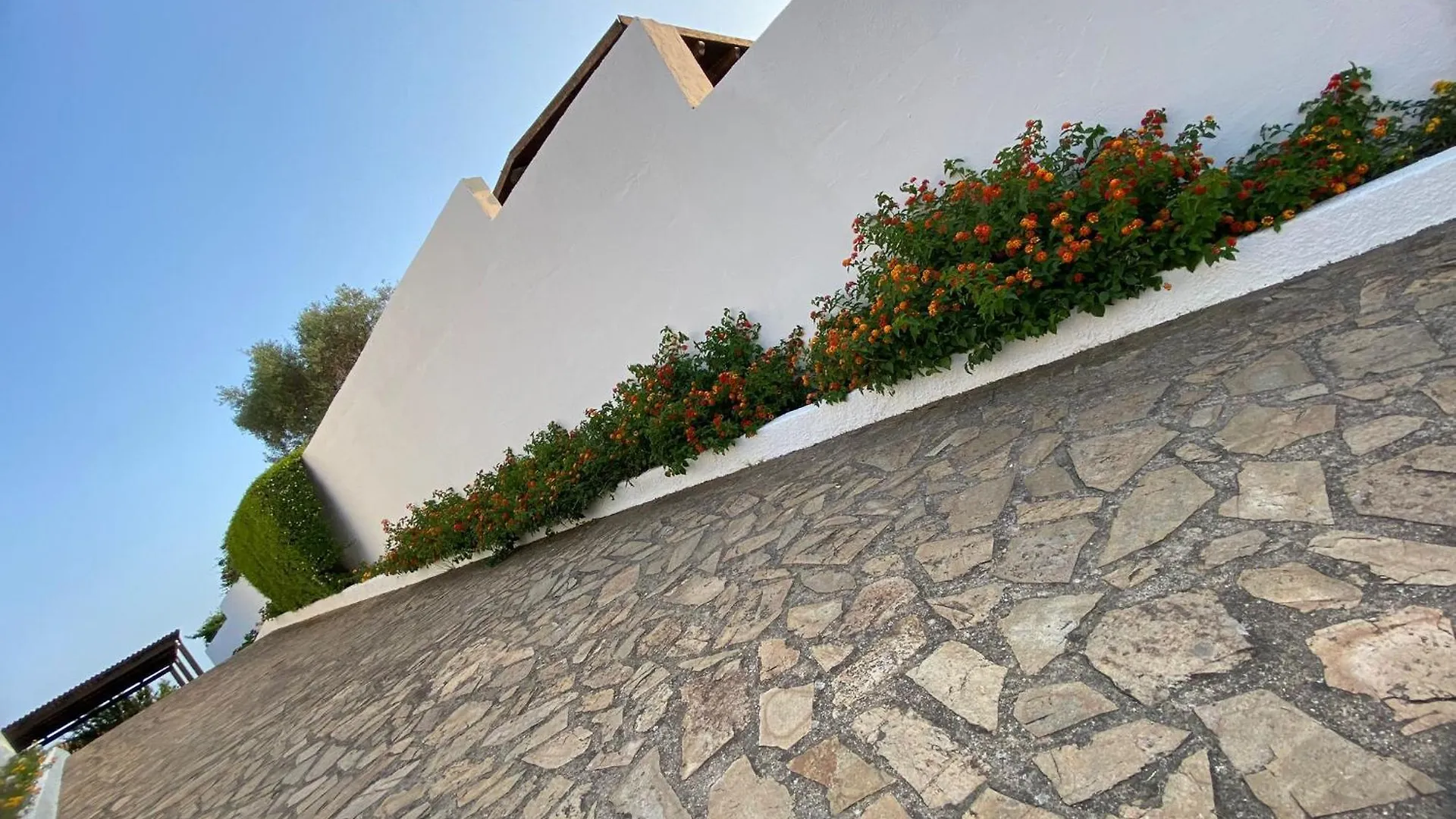 Villa Da Rosa Olbia Italy